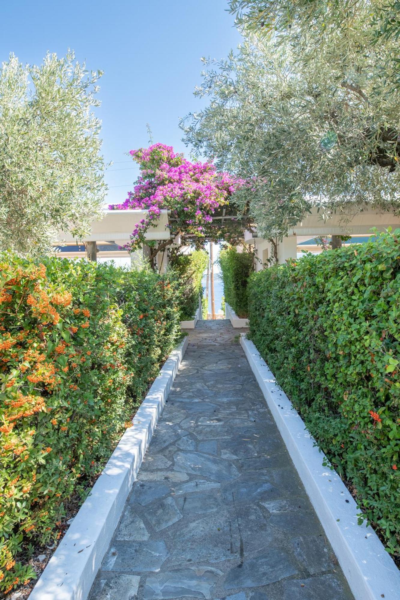 Elea Villas Steni Vala Alonissos Екстер'єр фото