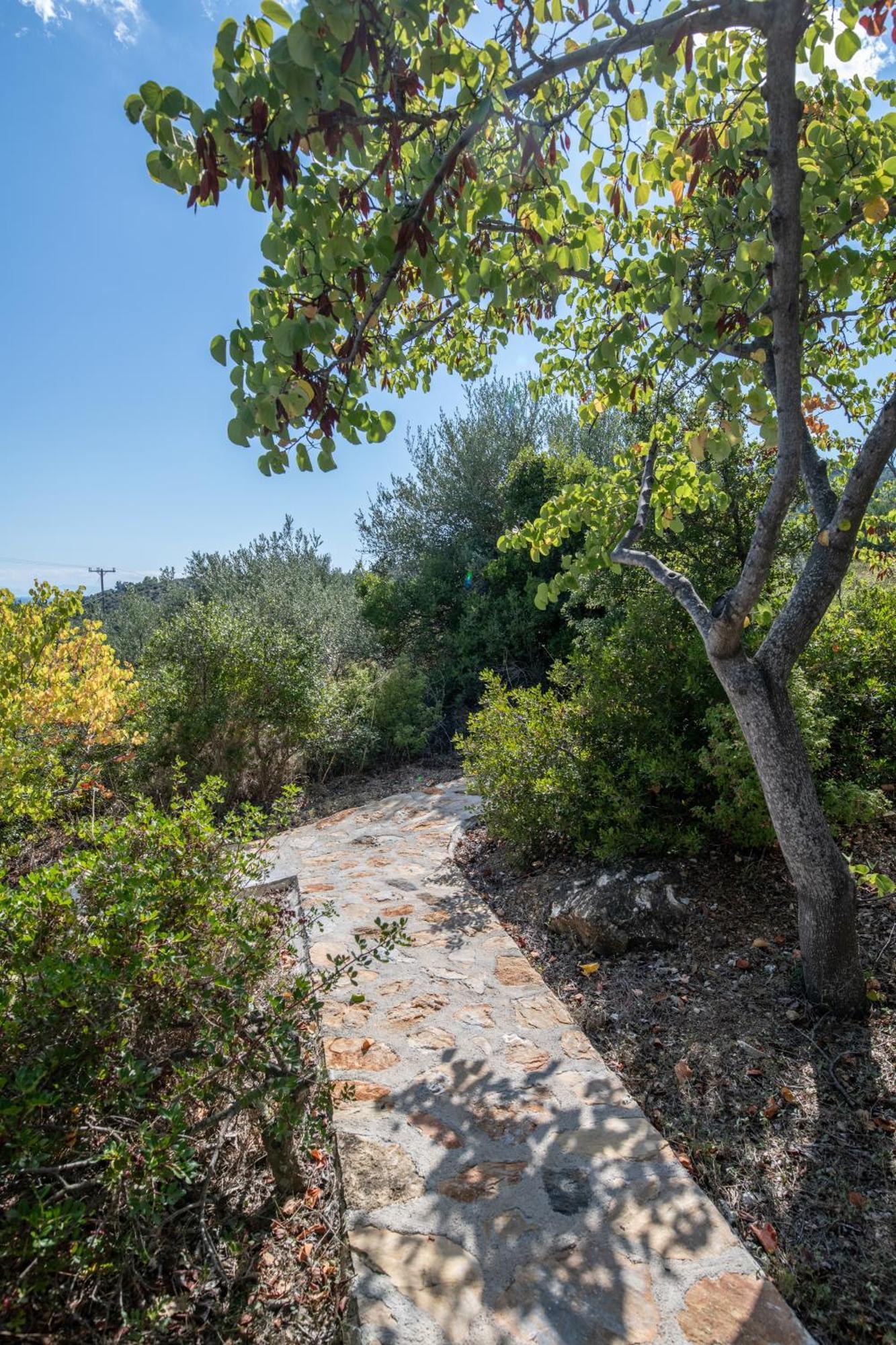 Elea Villas Steni Vala Alonissos Екстер'єр фото